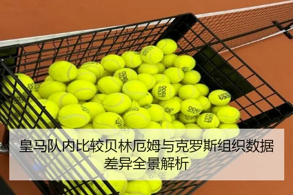 皇马队内比较贝林厄姆与克罗斯组织数据差异全景解析
